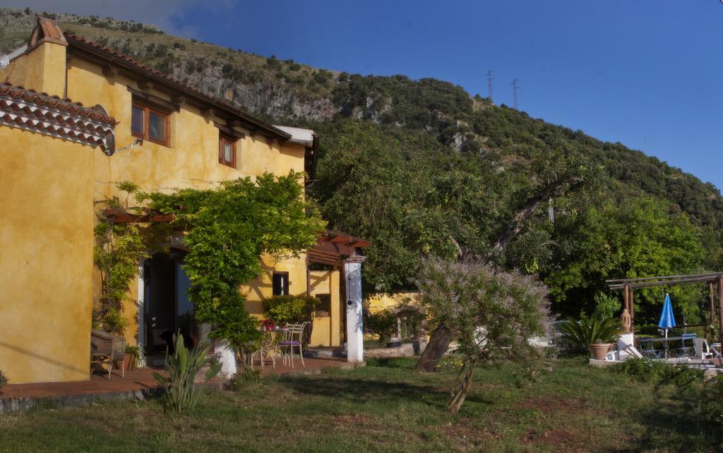 B&B Calandrella Маратея Экстерьер фото