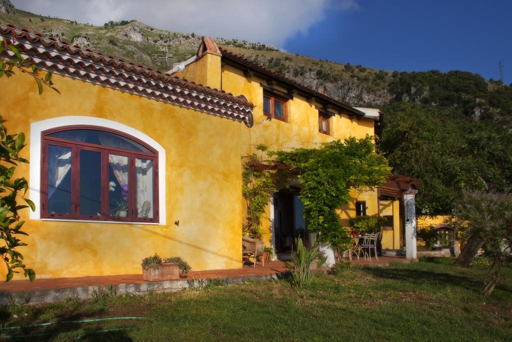 B&B Calandrella Маратея Номер фото